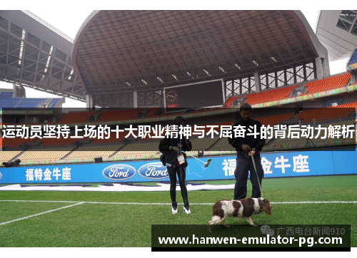 运动员坚持上场的十大职业精神与不屈奋斗的背后动力解析