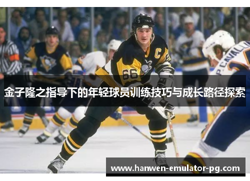 金子隆之指导下的年轻球员训练技巧与成长路径探索