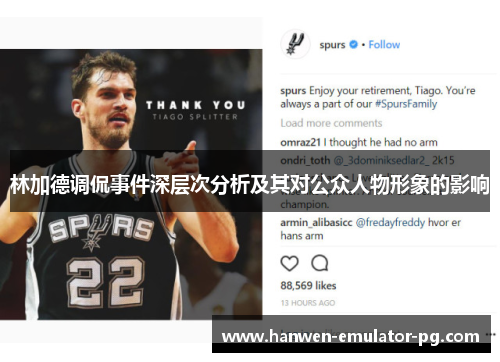 林加德调侃事件深层次分析及其对公众人物形象的影响