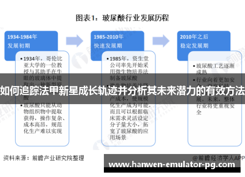 如何追踪法甲新星成长轨迹并分析其未来潜力的有效方法